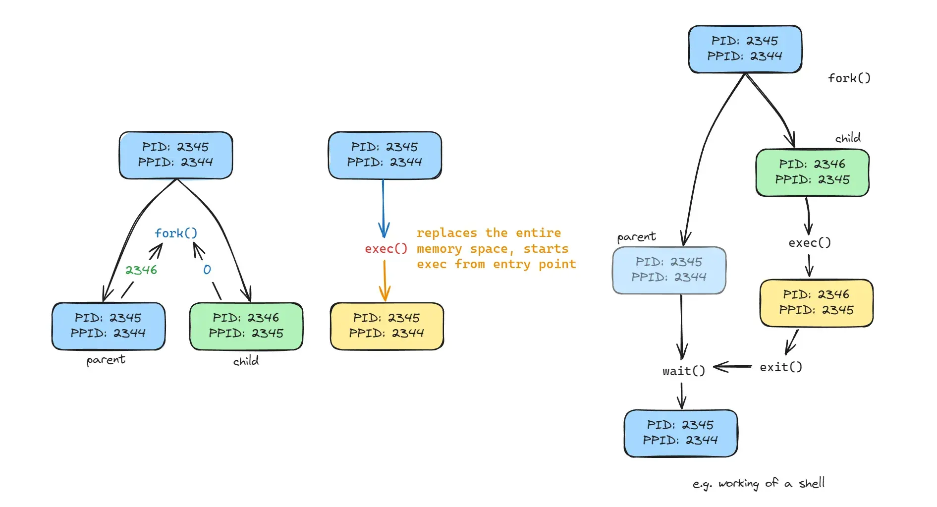 fork() and exec()